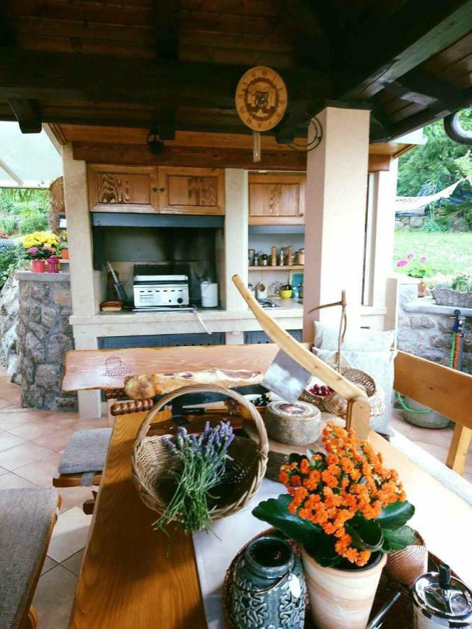 Apartman Ruza 3 Poljane Bagian luar foto