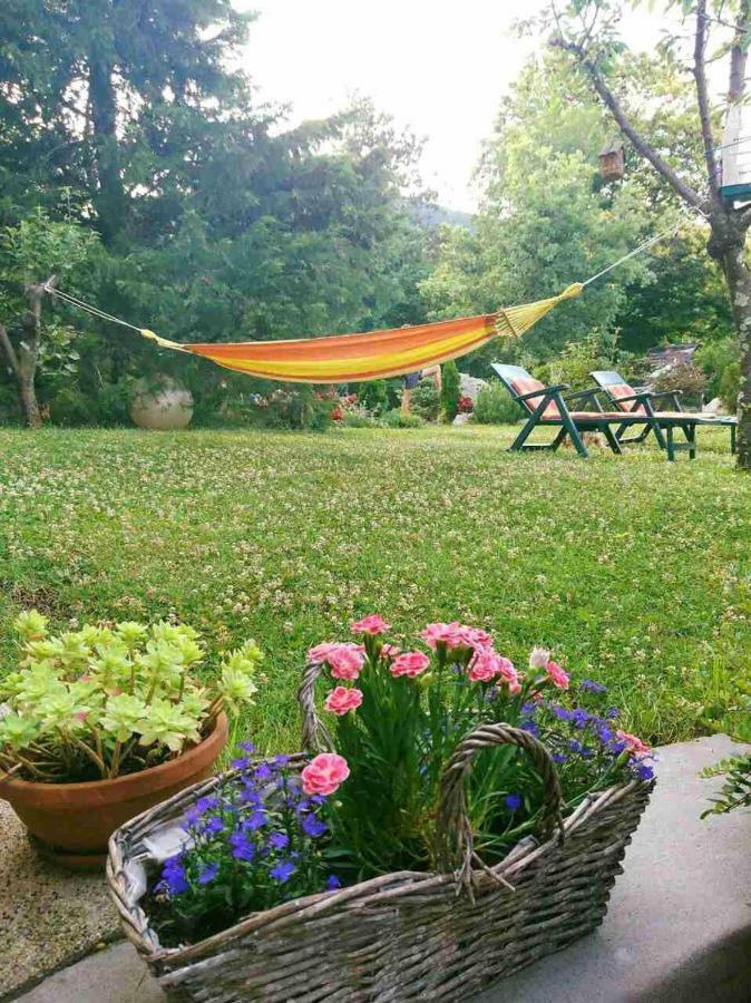 Apartman Ruza 3 Poljane Bagian luar foto