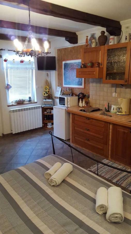 Apartman Ruza 3 Poljane Bagian luar foto